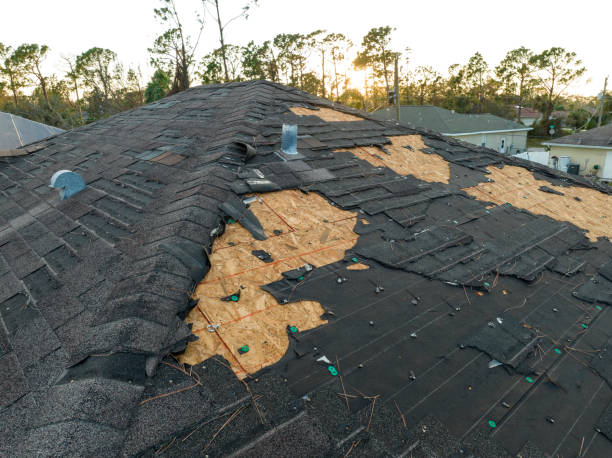Best Roof Ventilation Installation  in Bannockburn, IL